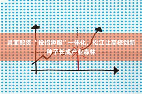灵菲配资 “投招孵服”一体化，松江让高校创新种子长成产业森林
