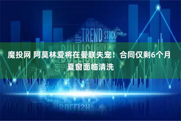 魔投网 阿莫林爱将在曼联失宠！合同仅剩6个月 夏窗面临清洗