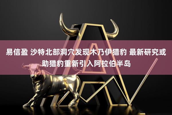 易信盈 沙特北部洞穴发现木乃伊猎豹 最新研究或助猎豹重新引入阿拉伯半岛