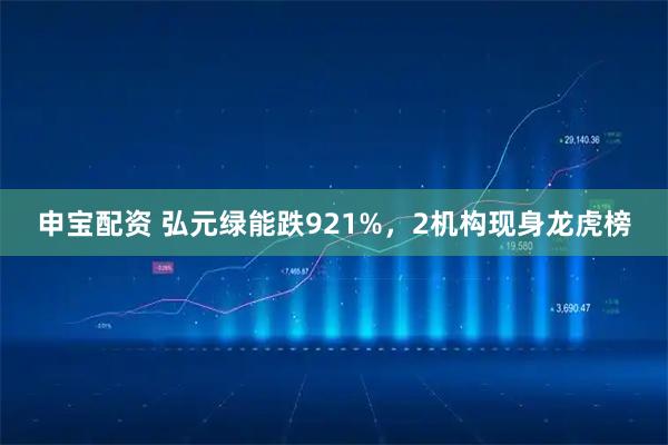 申宝配资 弘元绿能跌921%，2机构现身龙虎榜